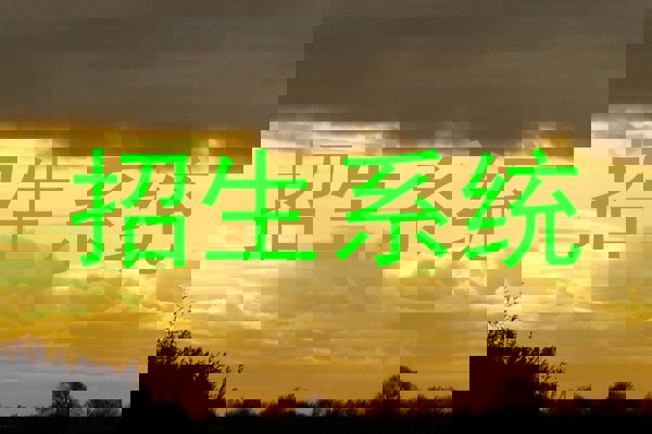 招生系统
