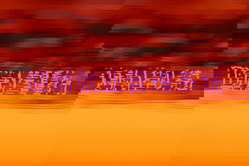 迎新就业管理系统