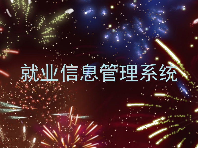 就业信息管理系统