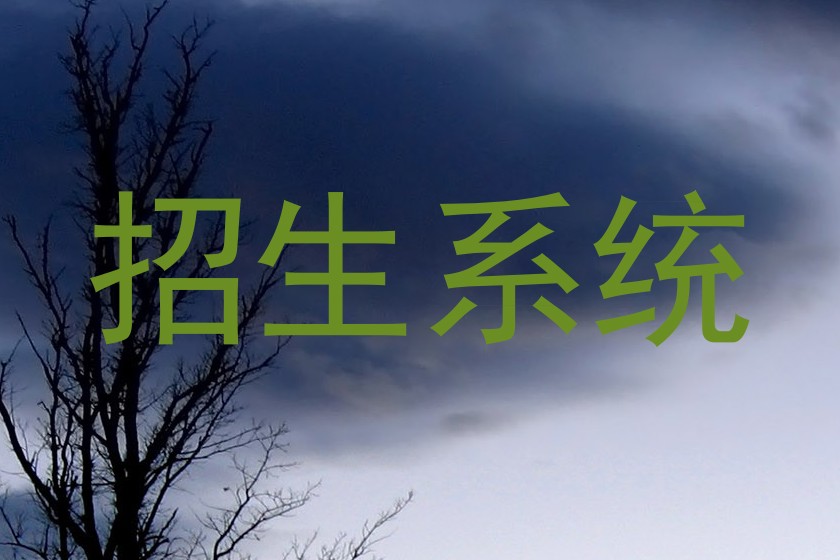 招生系统