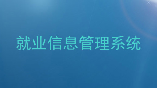 就业信息管理系统