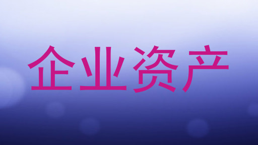 企业资产