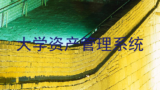 大学资产管理系统