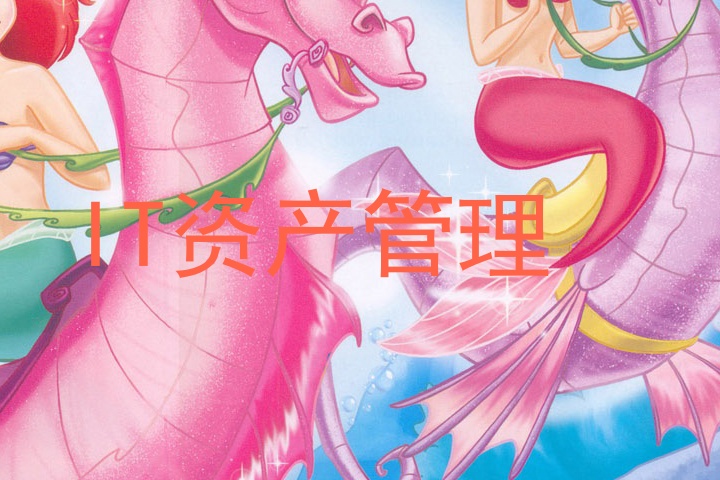IT资产管理