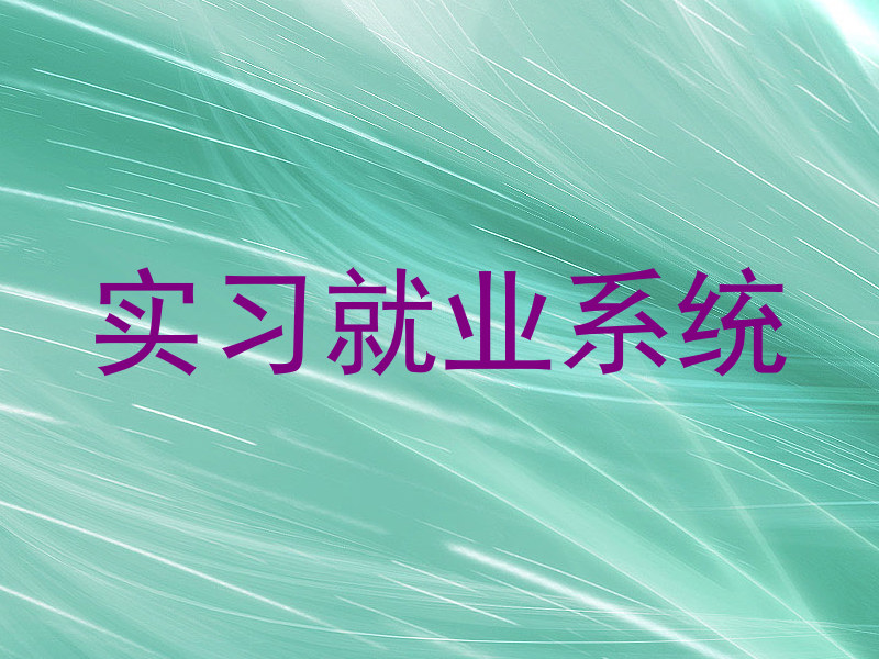 实习就业系统