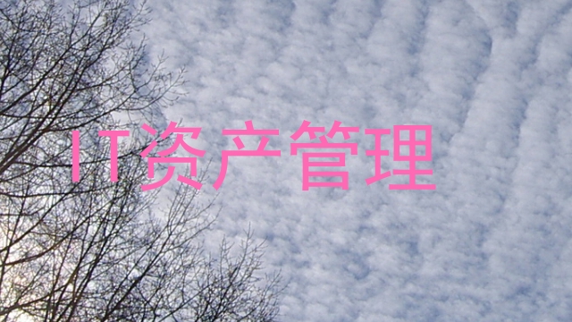 IT资产管理