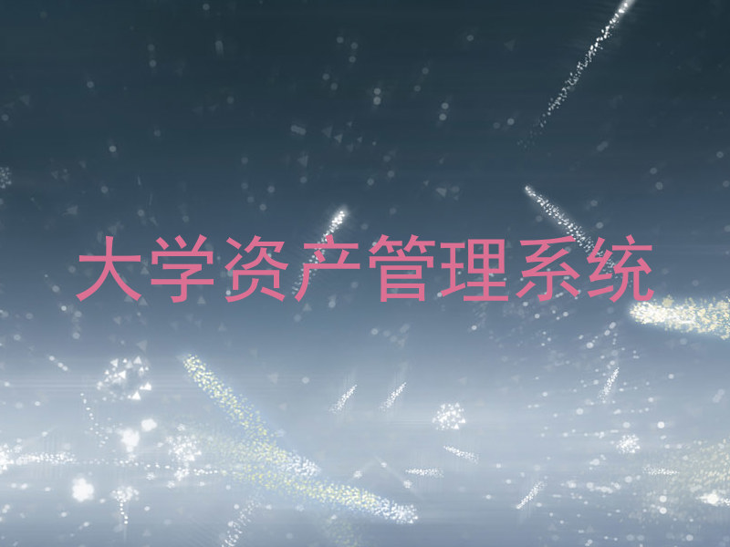 大学资产管理系统