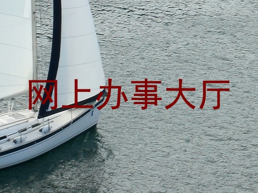 网上办事大厅