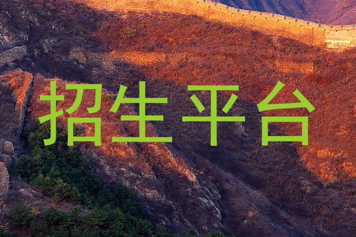 招生平台