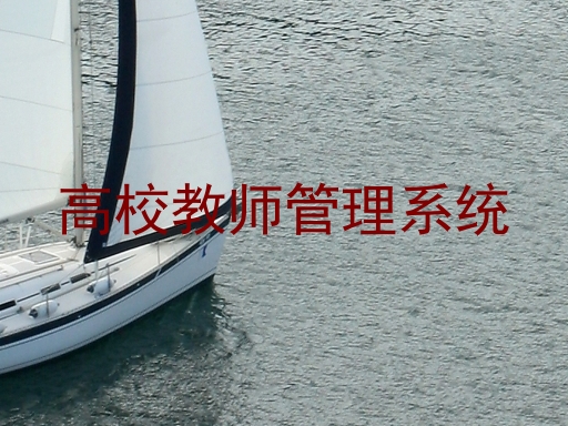 高校教师管理系统