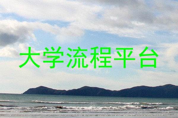 大学流程平台