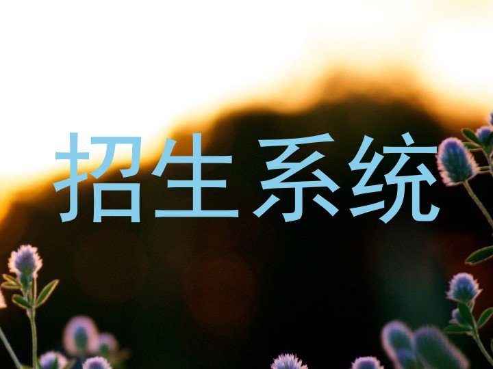 招生系统