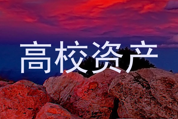 高校资产