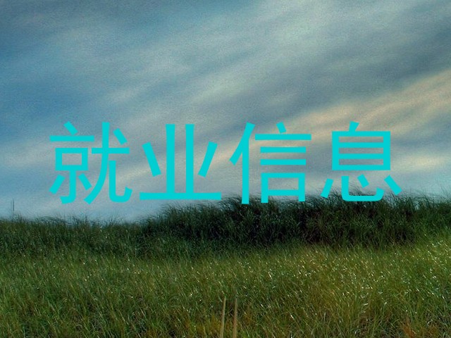 就业信息