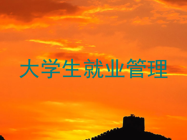 大学生就业管理