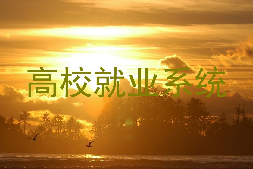 高校就业系统