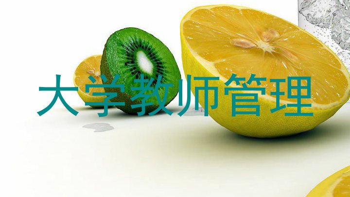 大学教师管理