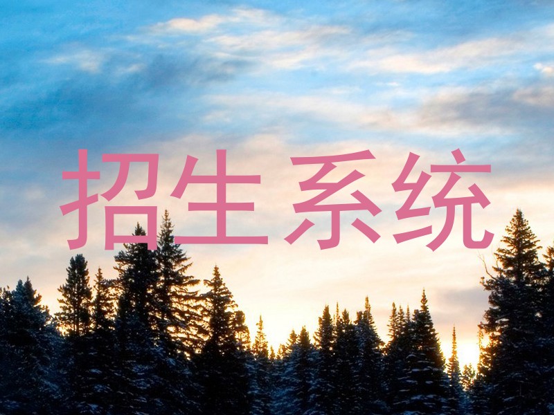 招生系统