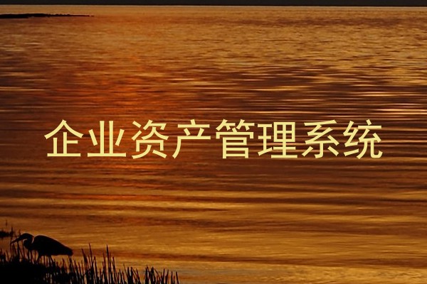 企业资产管理系统