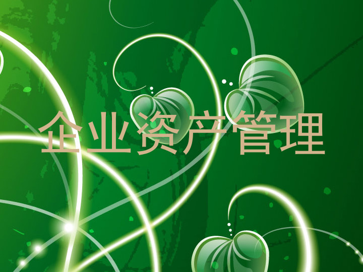 企业资产管理