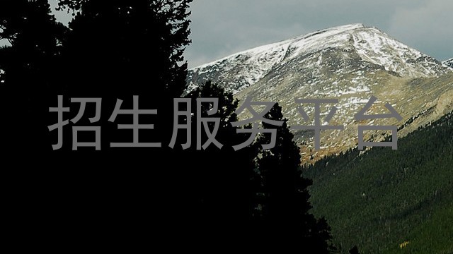 招生服务平台