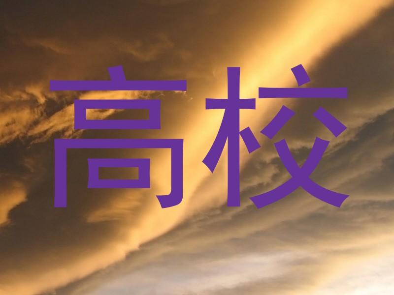 高校