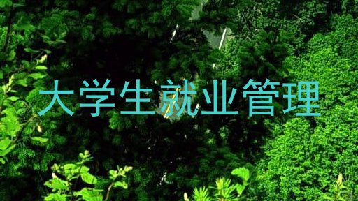 大学生就业管理