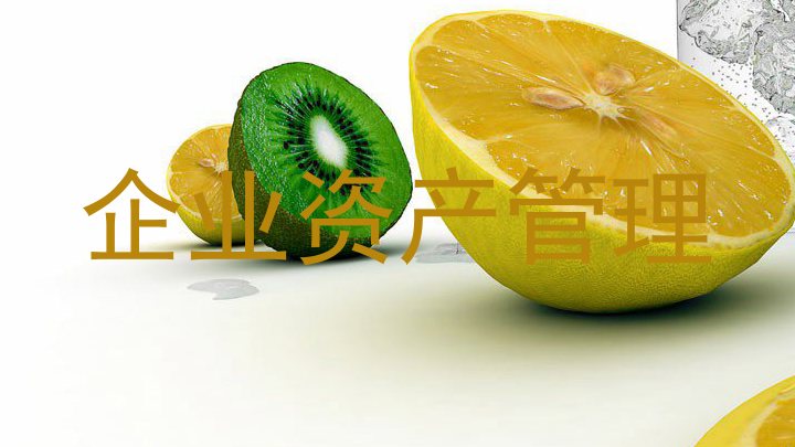 企业资产管理