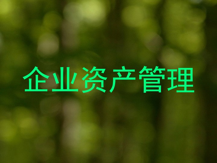 企业资产管理