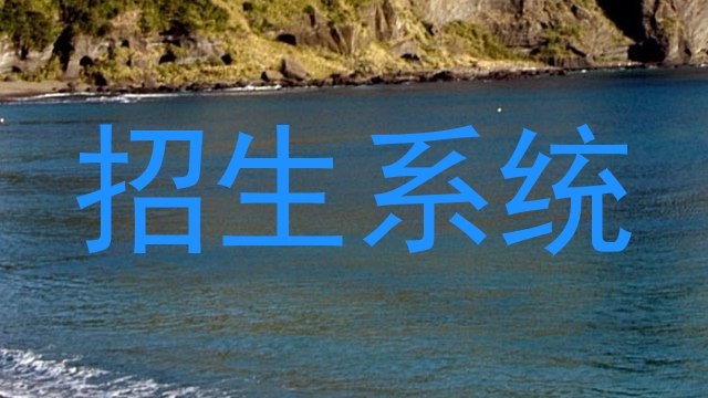 招生系统