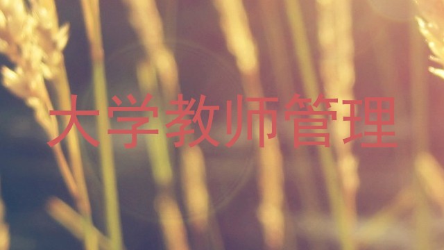 大学教师管理