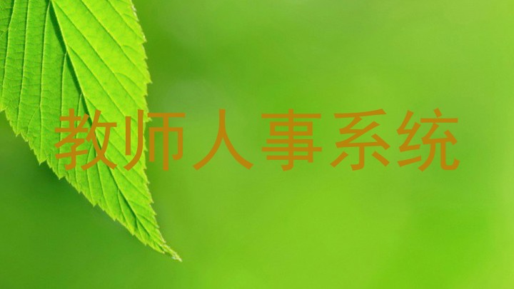 教师人事系统