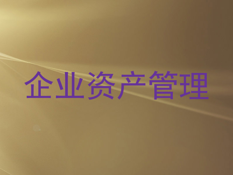 企业资产管理