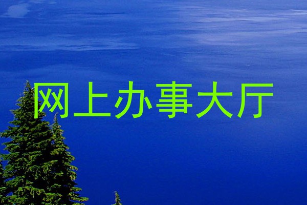 网上办事大厅