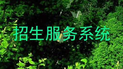 招生服务系统