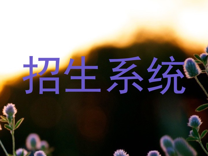 招生系统