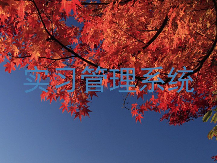 实习管理系统