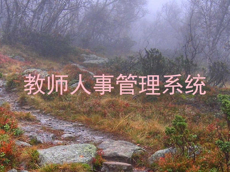 教师人事管理系统