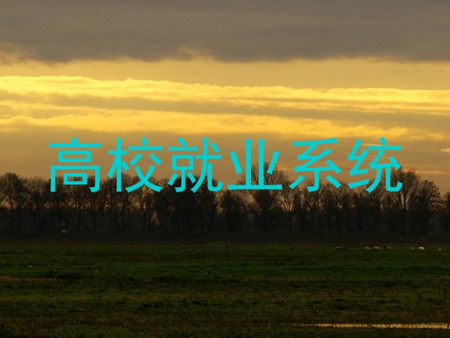 高校就业系统