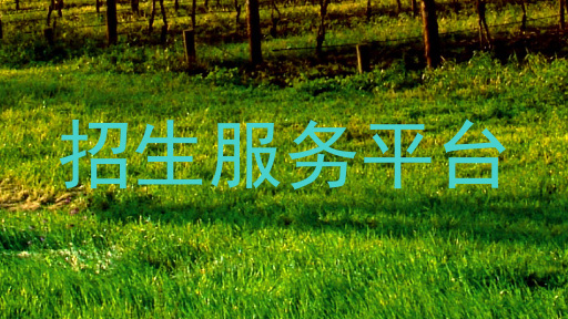 招生服务平台