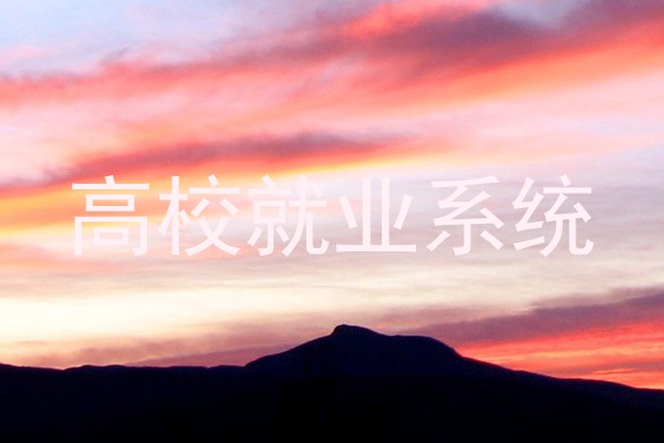 高校就业系统