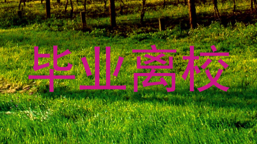 毕业离校