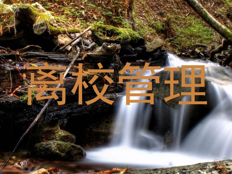 离校管理