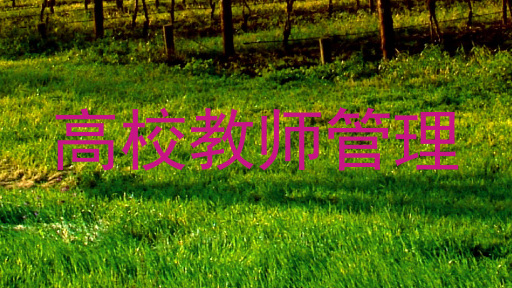 高校教师管理
