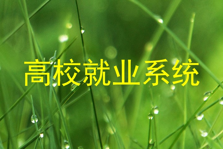 高校就业系统