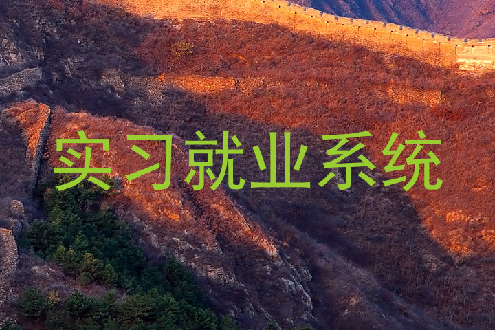 实习就业系统
