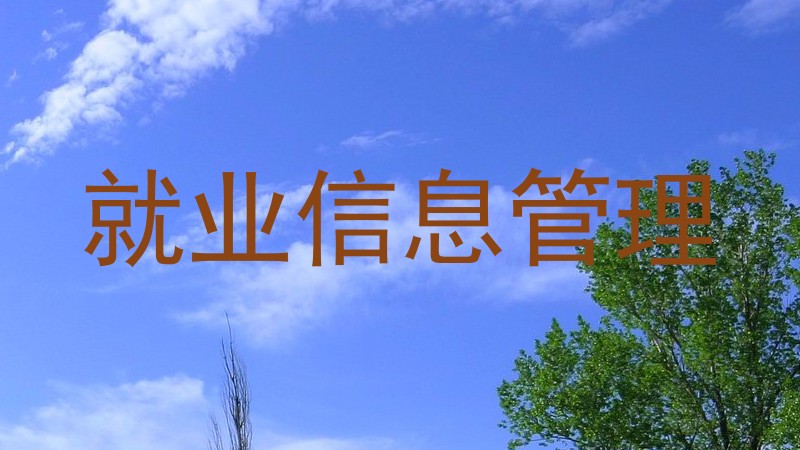 就业信息管理