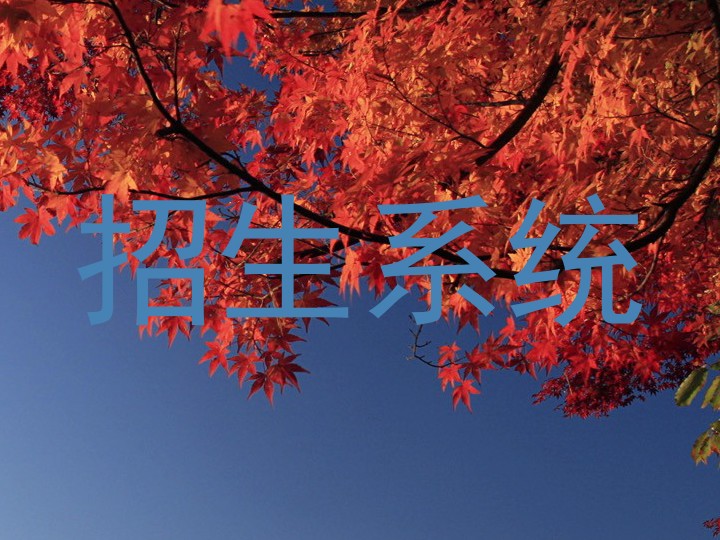 招生系统