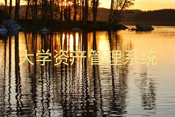 大学资产管理系统
