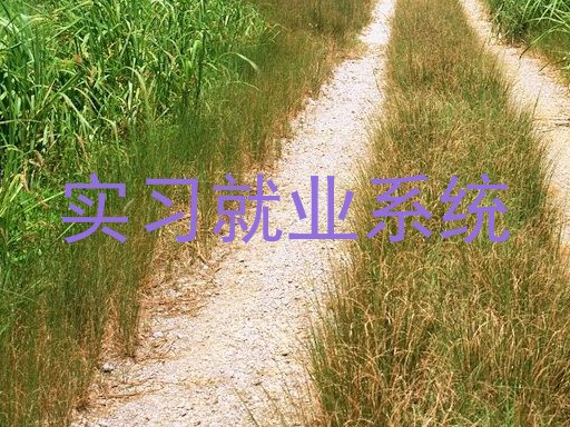 实习就业系统